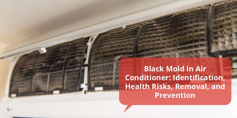 black mold in air conditioner