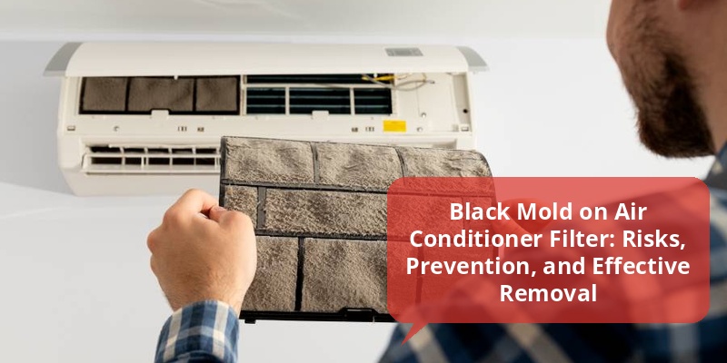 black mold on air conditioner filter