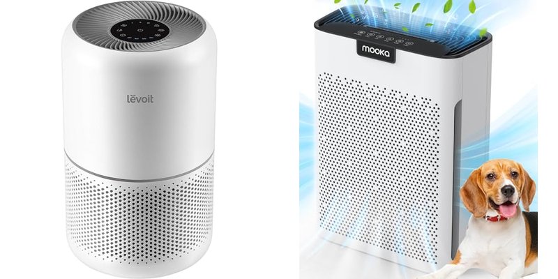 Dog Hair Air Purifiers for Cleaner Air and Pet Allergies